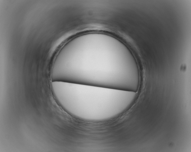 X0000112781318200908201404