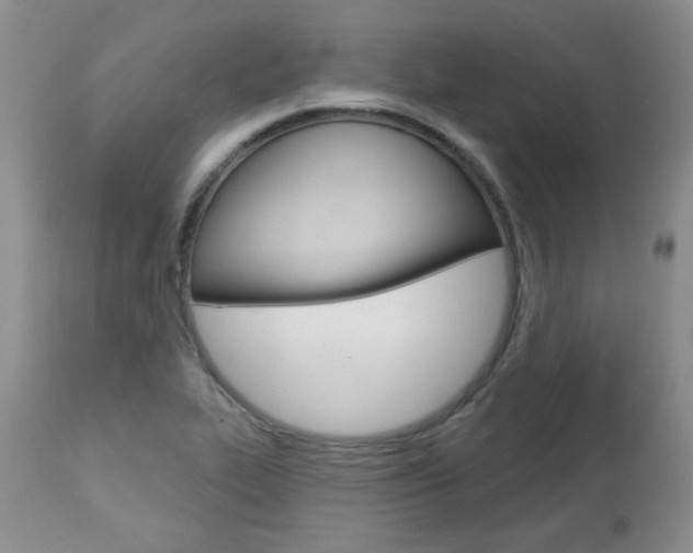 X0000112781319200908201404