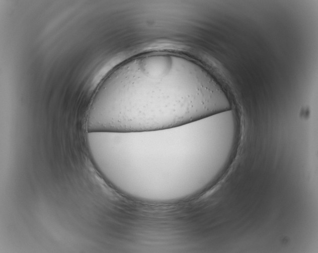 X0000112781321200908201405