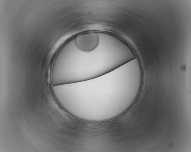 X0000112781323200908201405