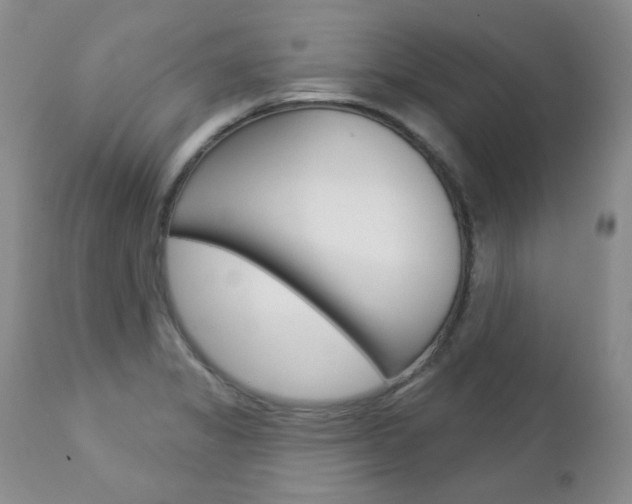 X0000112781325200908201405