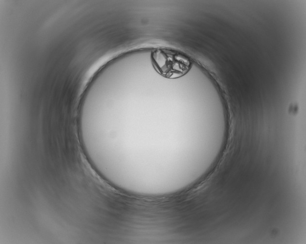 X0000112781326200908201405