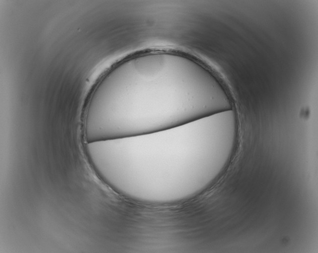 X0000112781327200908201405
