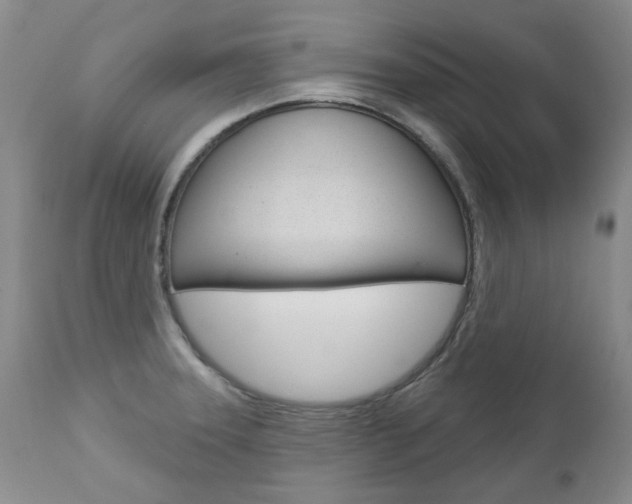 X0000112781331200908201405