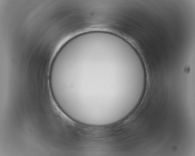X0000112781334200908201405