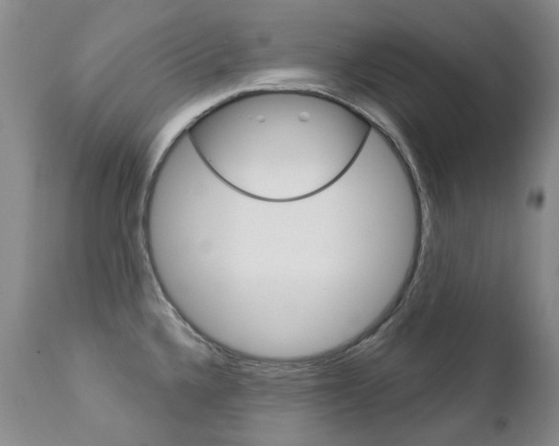 X0000112781336200908201405
