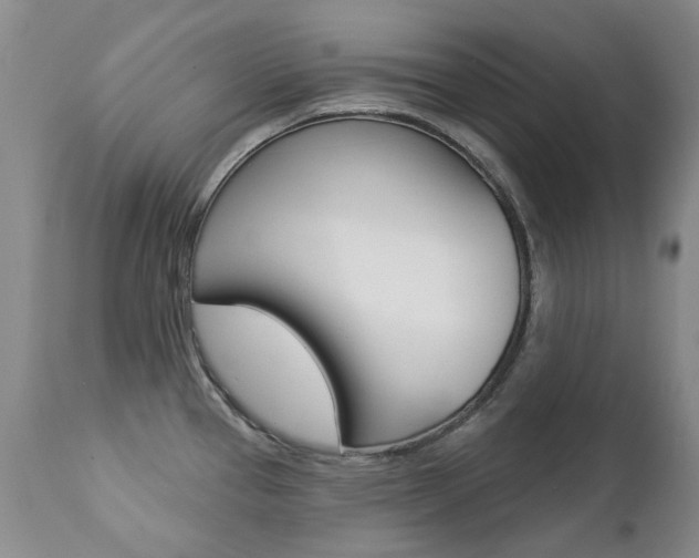 X0000112781337200908201405