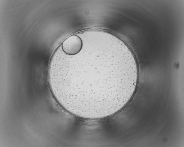 X0000112781338200908201405