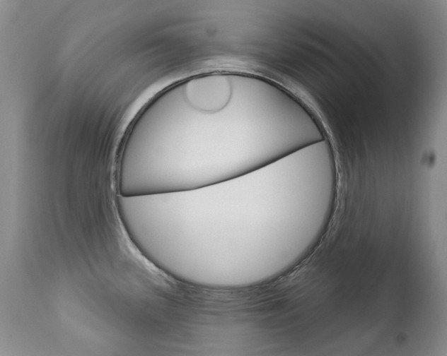 X0000112781339200908201405