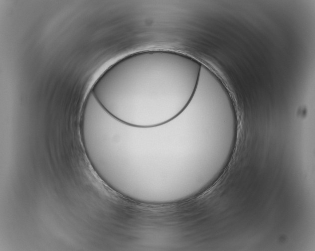 X0000112781340200908201405