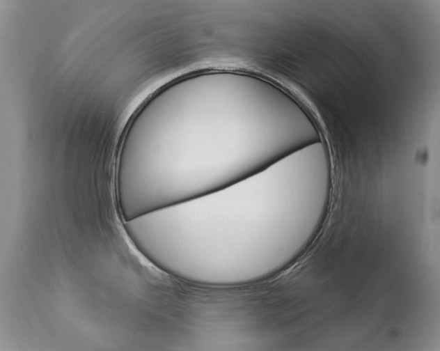 X0000112781343200908201405