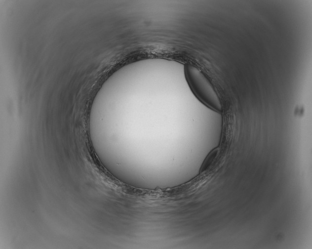 X0000112781345200908201404