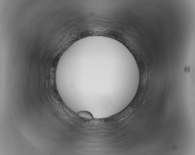 X0000112781346200908201404