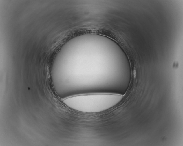X0000112781347200908201404