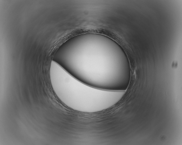 X0000112781348200908201404