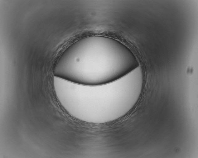 X0000112781349200908201404