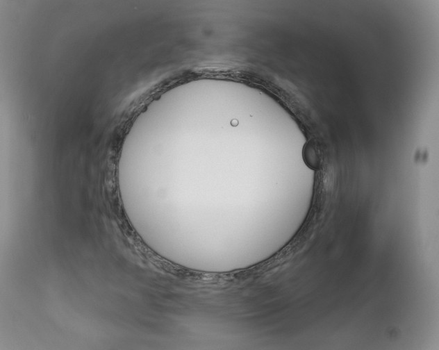 X0000112781350200908201404