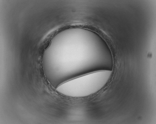 X0000112781351200908201404
