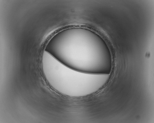 X0000112781352200908201404
