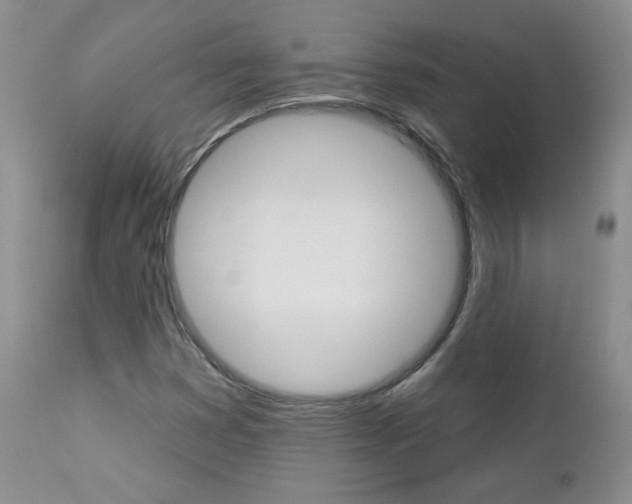 X0000112781353200908201404