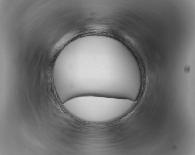 X0000112781354200908201404