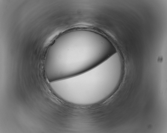 X0000112781355200908201404