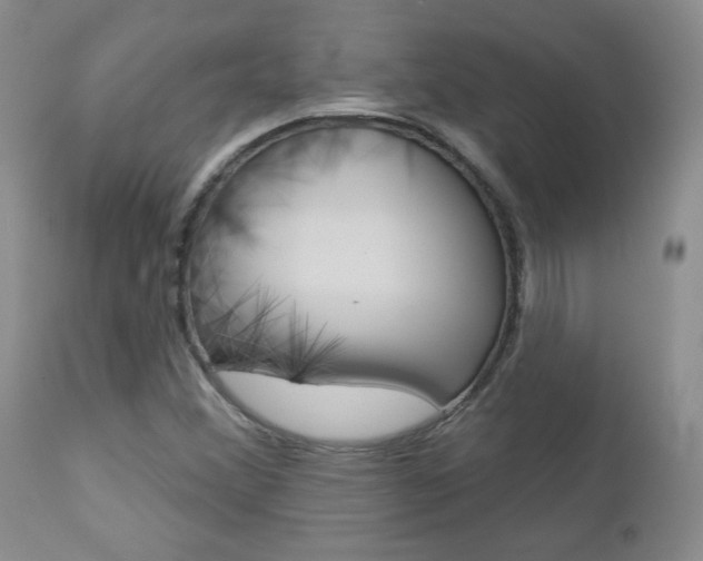 X0000112781356200908201404