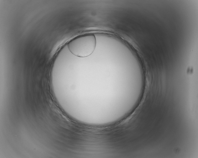 X0000112781357200908201404