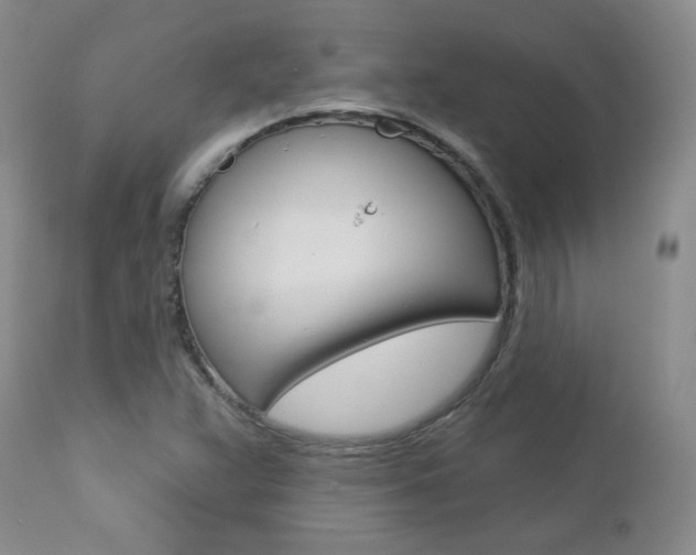 X0000112781359200908201404