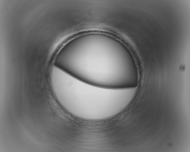 X0000112781360200908201404