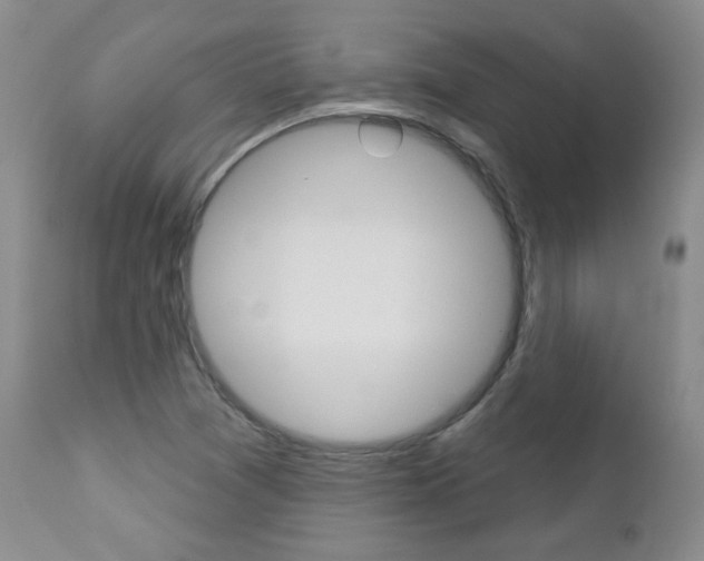 X0000112781361200908201404