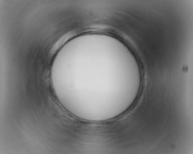 X0000112781362200908201404
