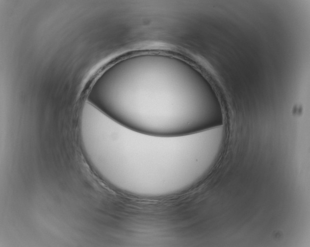 X0000112781364200908201404