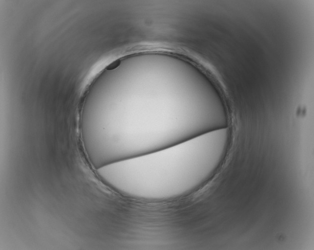 X0000112781365200908201404