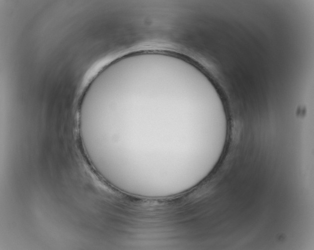 X0000112781366200908201404