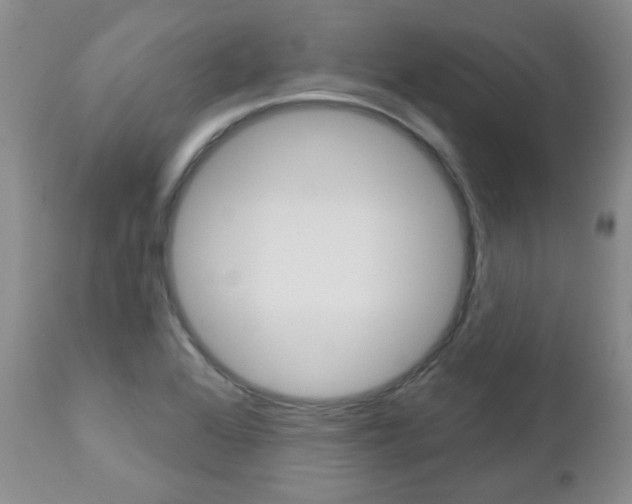X0000112781368200908201404
