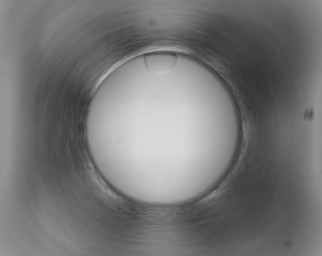 X0000112781369200908201404