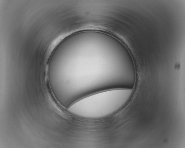 X0000112781371200908201404