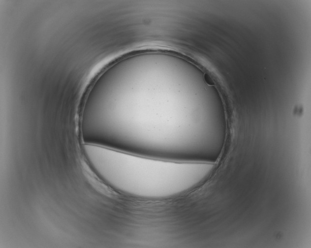 X0000112781372200908201404