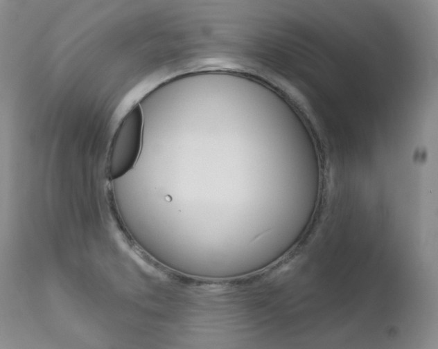 X0000112781373200908201404
