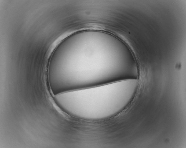 X0000112781379200908201404