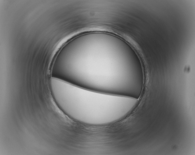 X0000112781380200908201404