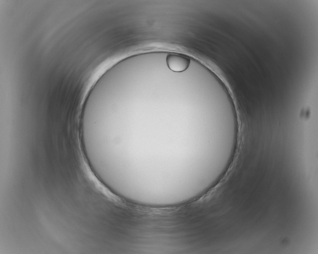 X0000112781381200908201404