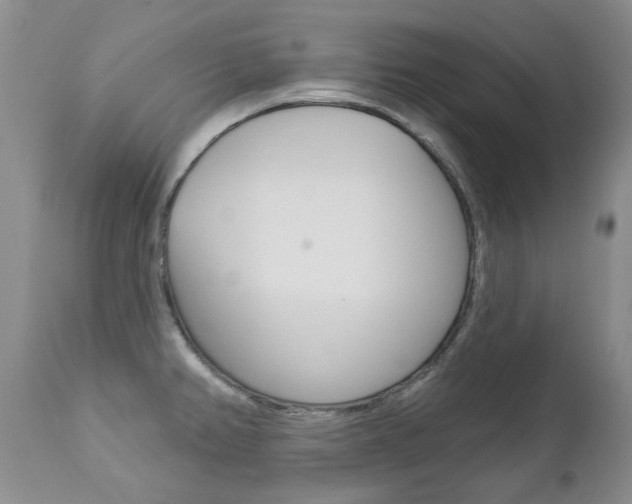 X0000112781382200908201404