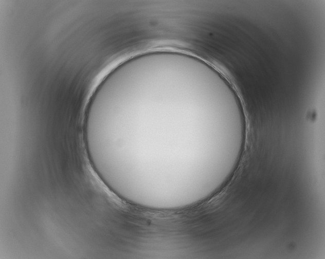 X0000112781384200908201404