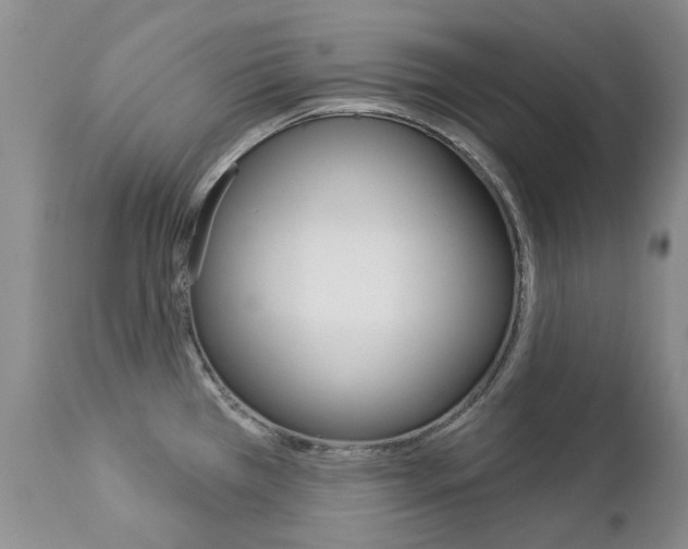 X0000112781385200908201404