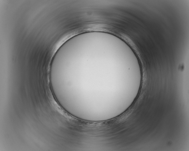 X0000112781386200908201404
