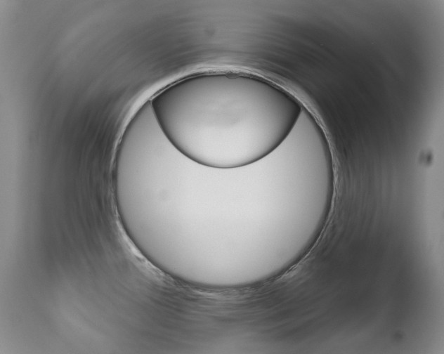 X0000112781388200908201404