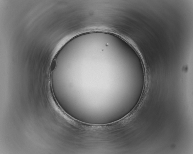 X0000112781389200908201404