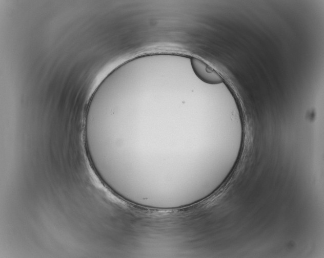 X0000112781390200908201403